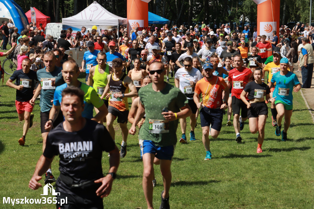 Fotorelacja II: 47. Międzynarodowy Bieg V Stawów w Myszkowie