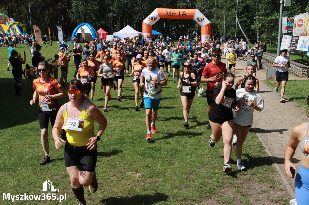 Fotorelacja II: 47. Międzynarodowy Bieg V Stawów w Myszkowie