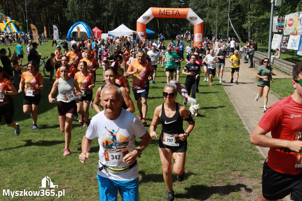 Fotorelacja II: 47. Międzynarodowy Bieg V Stawów w Myszkowie
