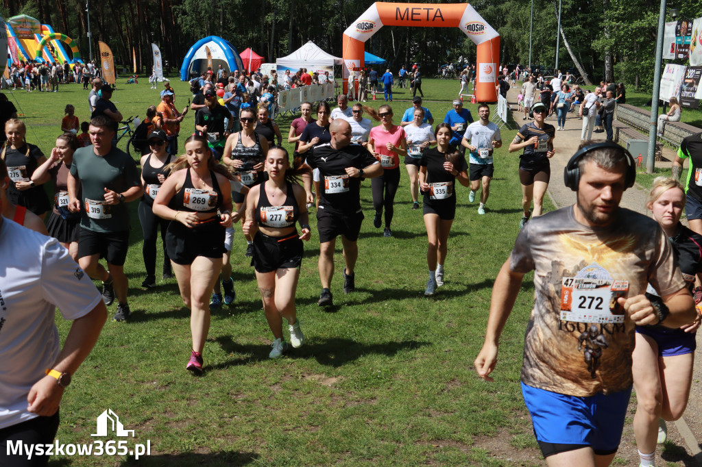 Fotorelacja II: 47. Międzynarodowy Bieg V Stawów w Myszkowie