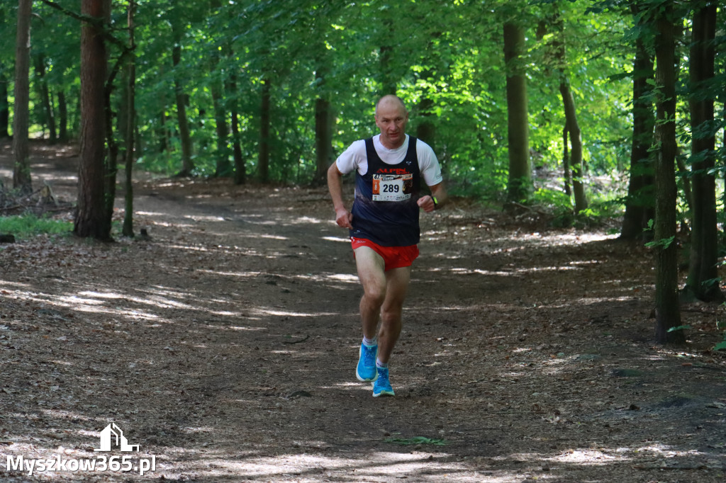 Fotorelacja II: 47. Międzynarodowy Bieg V Stawów w Myszkowie