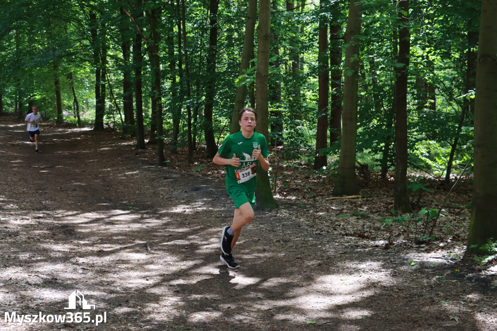 Fotorelacja II: 47. Międzynarodowy Bieg V Stawów w Myszkowie