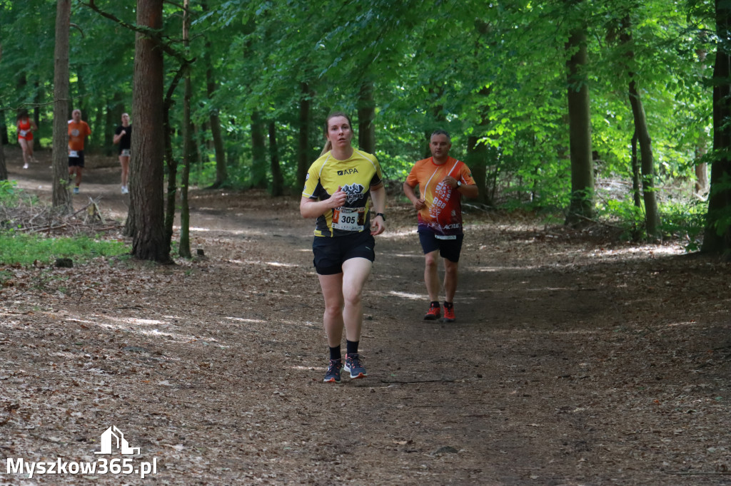 Fotorelacja II: 47. Międzynarodowy Bieg V Stawów w Myszkowie