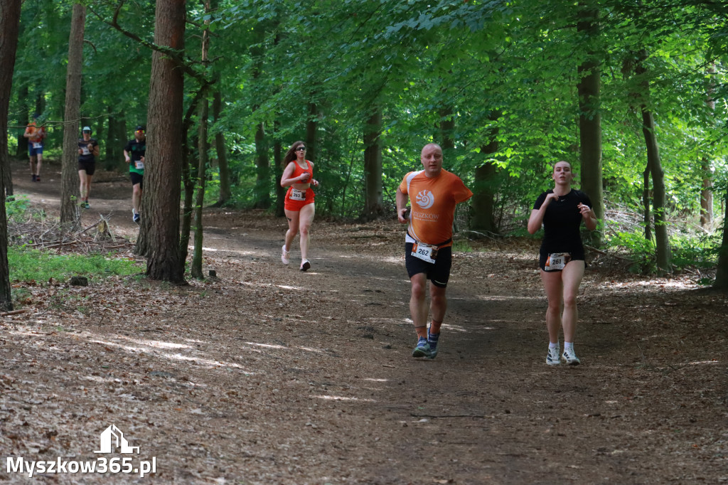 Fotorelacja II: 47. Międzynarodowy Bieg V Stawów w Myszkowie