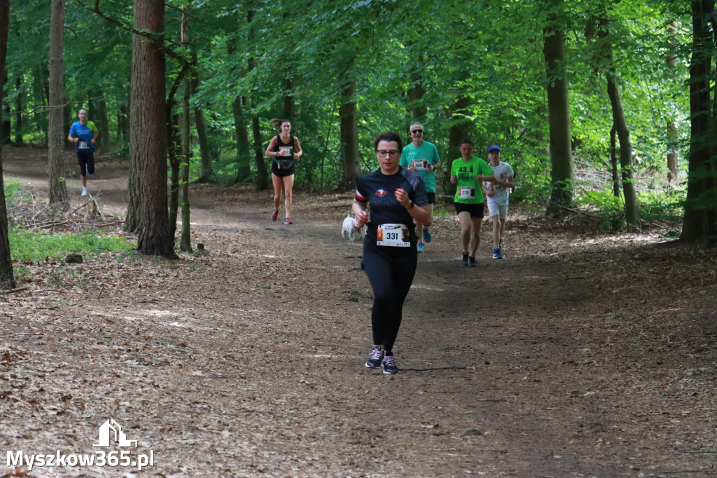 Fotorelacja II: 47. Międzynarodowy Bieg V Stawów w Myszkowie