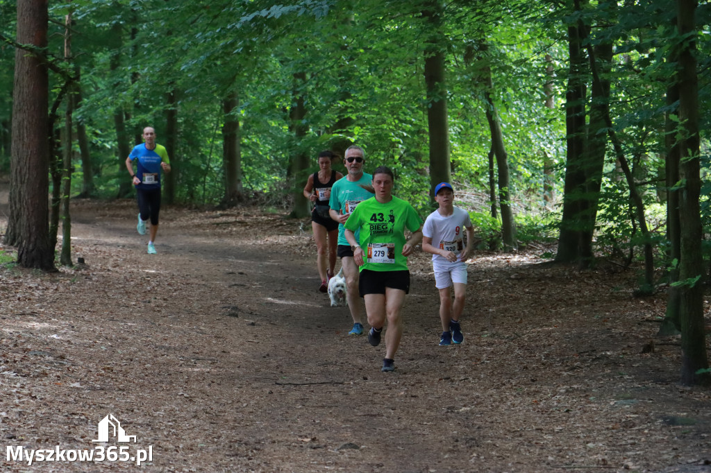 Fotorelacja II: 47. Międzynarodowy Bieg V Stawów w Myszkowie