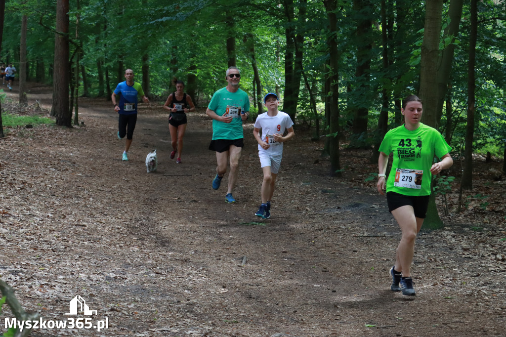 Fotorelacja II: 47. Międzynarodowy Bieg V Stawów w Myszkowie