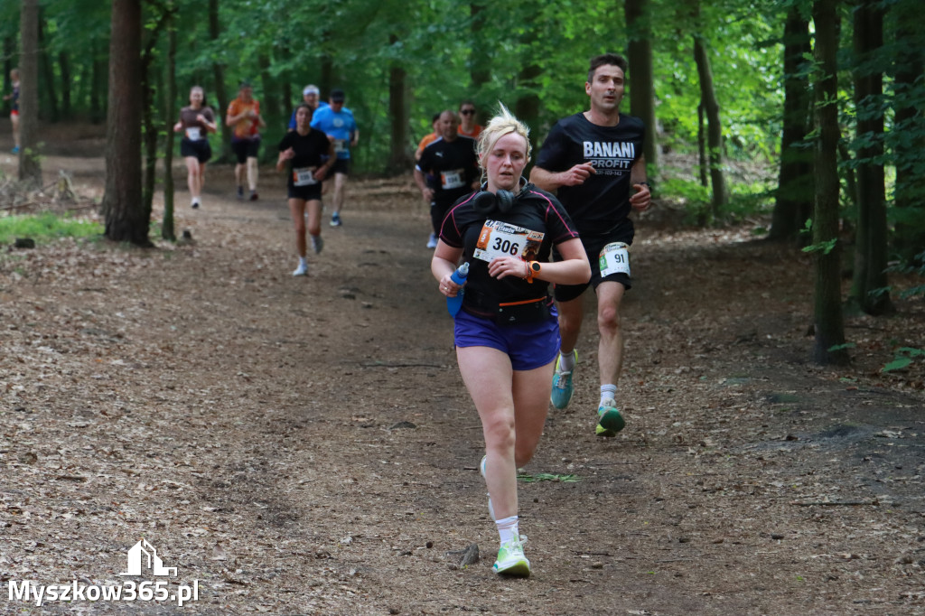 Fotorelacja II: 47. Międzynarodowy Bieg V Stawów w Myszkowie