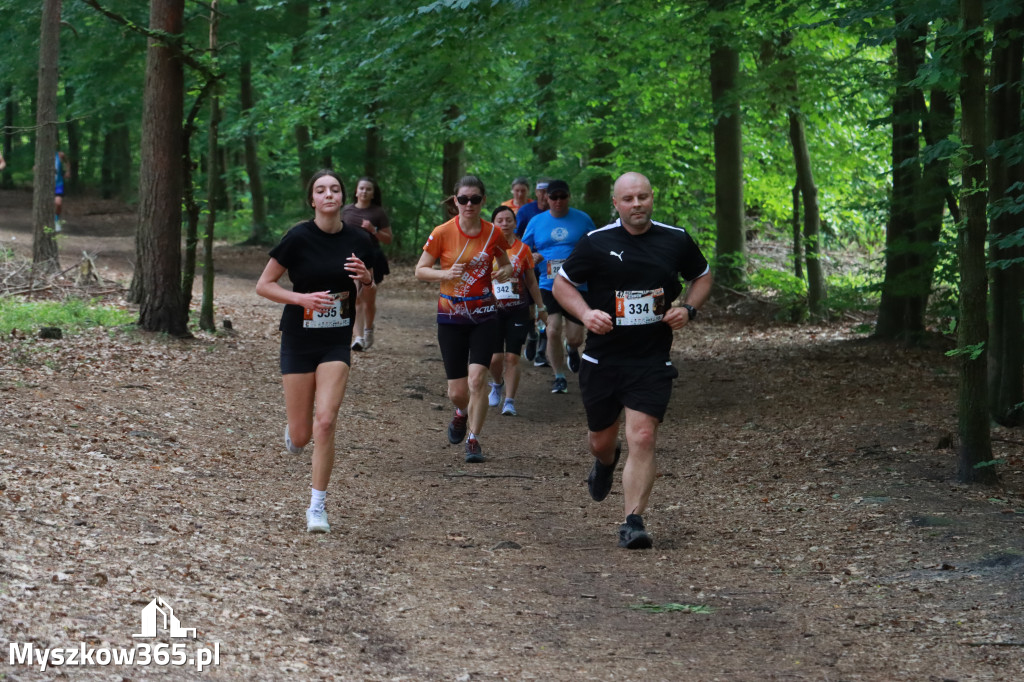 Fotorelacja II: 47. Międzynarodowy Bieg V Stawów w Myszkowie