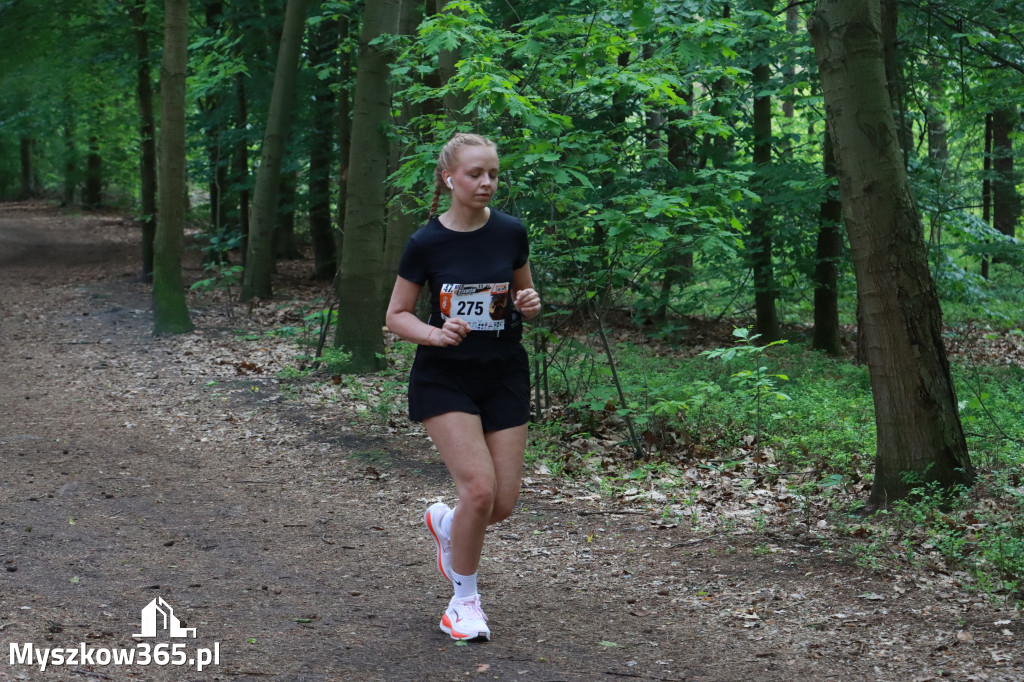 Fotorelacja II: 47. Międzynarodowy Bieg V Stawów w Myszkowie