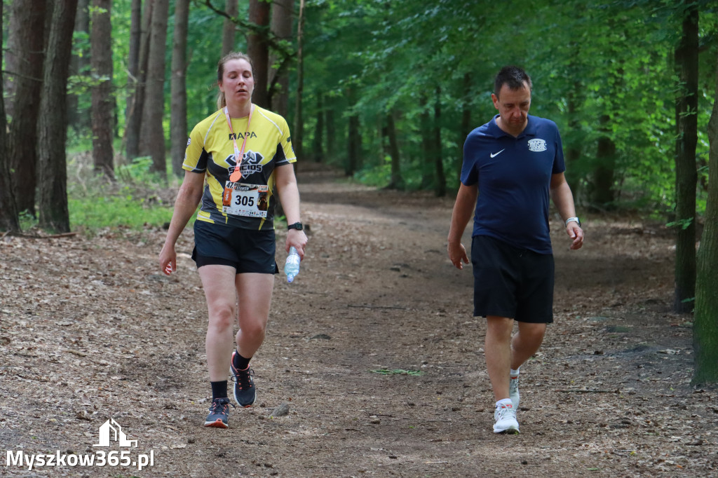 Fotorelacja II: 47. Międzynarodowy Bieg V Stawów w Myszkowie