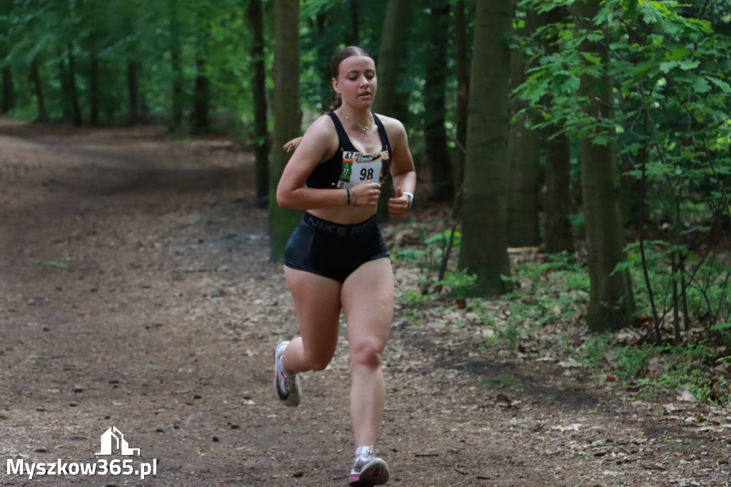 Fotorelacja II: 47. Międzynarodowy Bieg V Stawów w Myszkowie
