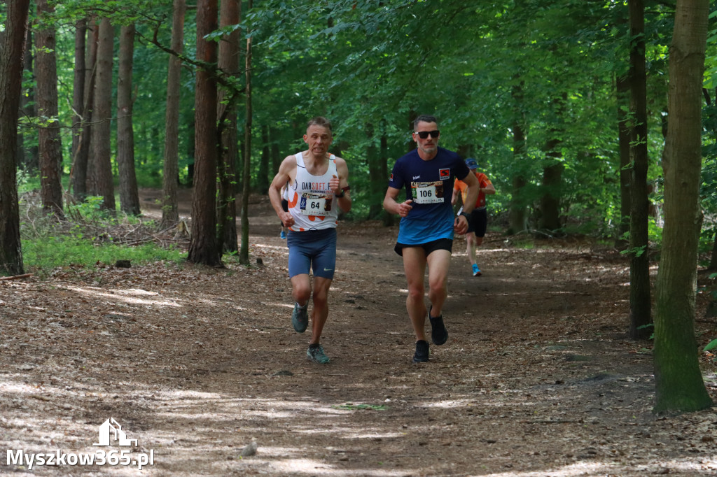 Fotorelacja II: 47. Międzynarodowy Bieg V Stawów w Myszkowie