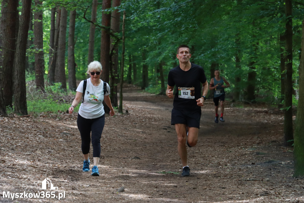Fotorelacja II: 47. Międzynarodowy Bieg V Stawów w Myszkowie