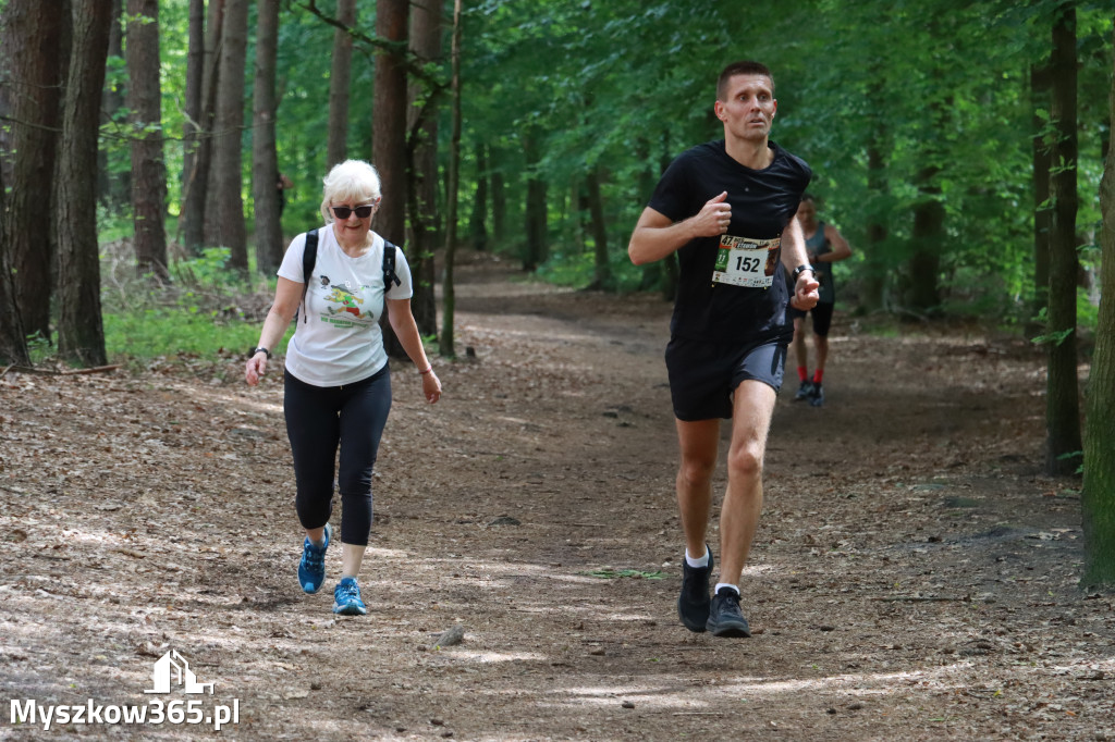 Fotorelacja II: 47. Międzynarodowy Bieg V Stawów w Myszkowie