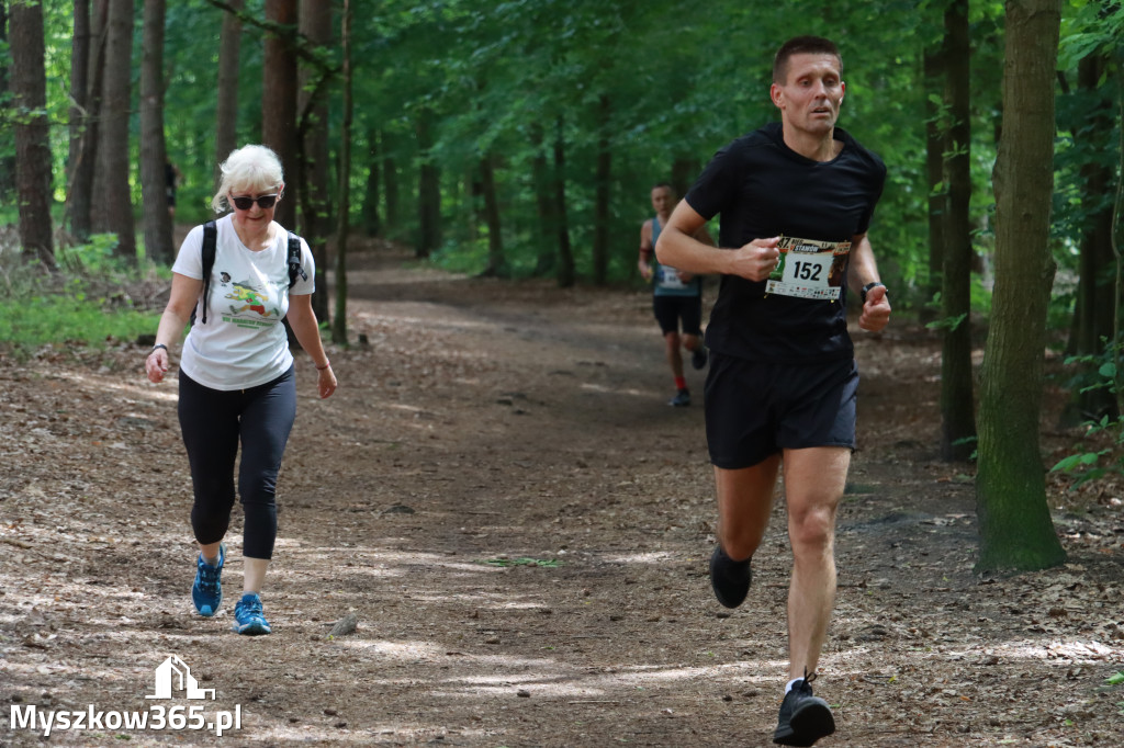 Fotorelacja II: 47. Międzynarodowy Bieg V Stawów w Myszkowie