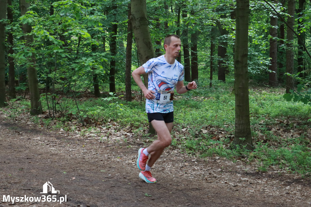 Fotorelacja II: 47. Międzynarodowy Bieg V Stawów w Myszkowie