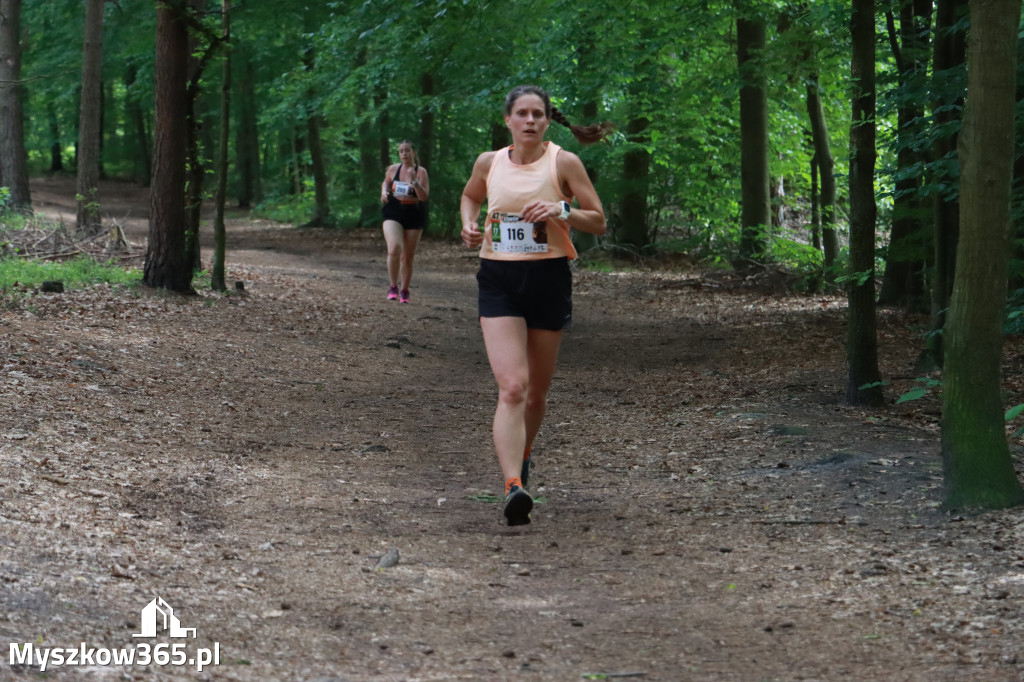 Fotorelacja II: 47. Międzynarodowy Bieg V Stawów w Myszkowie