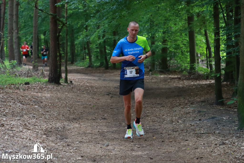 Fotorelacja II: 47. Międzynarodowy Bieg V Stawów w Myszkowie