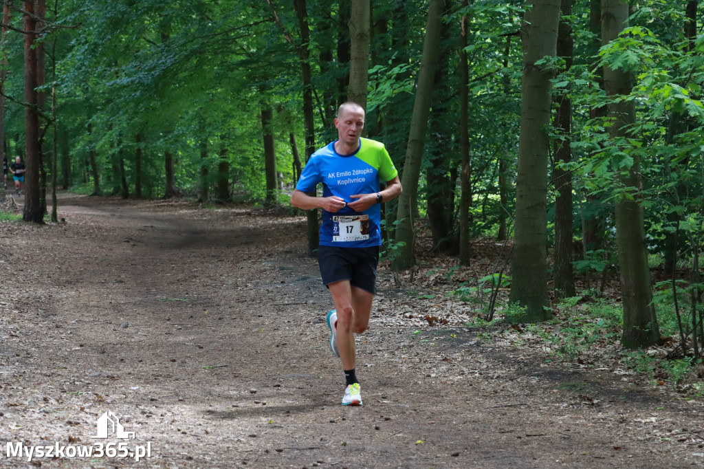 Fotorelacja II: 47. Międzynarodowy Bieg V Stawów w Myszkowie
