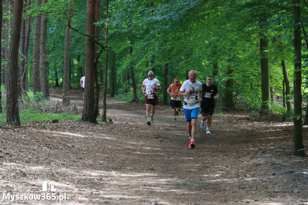 Fotorelacja III: 47. Międzynarodowy Bieg V Stawów w Myszkowie