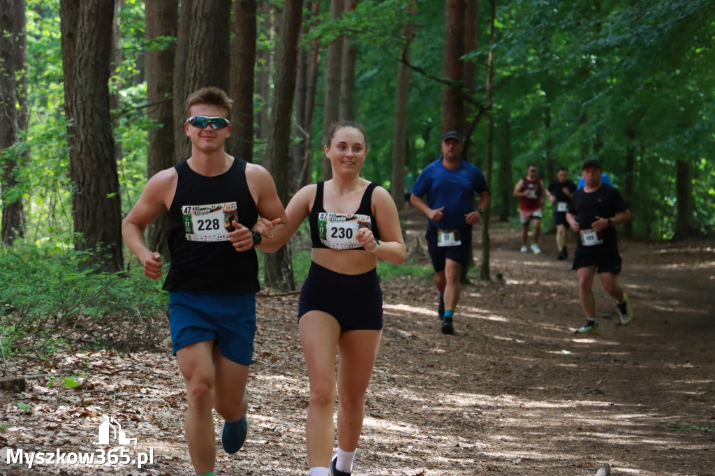 Fotorelacja III: 47. Międzynarodowy Bieg V Stawów w Myszkowie