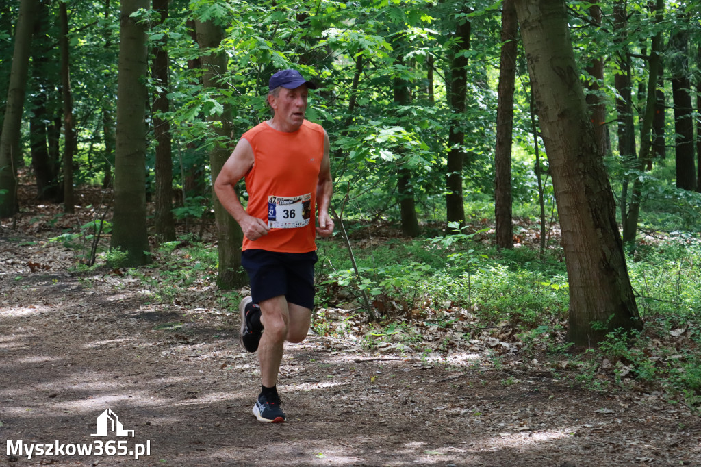 Fotorelacja III: 47. Międzynarodowy Bieg V Stawów w Myszkowie