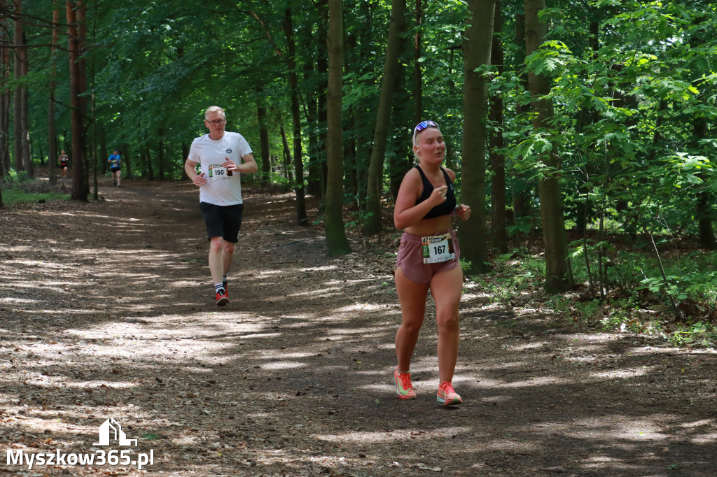 Fotorelacja III: 47. Międzynarodowy Bieg V Stawów w Myszkowie