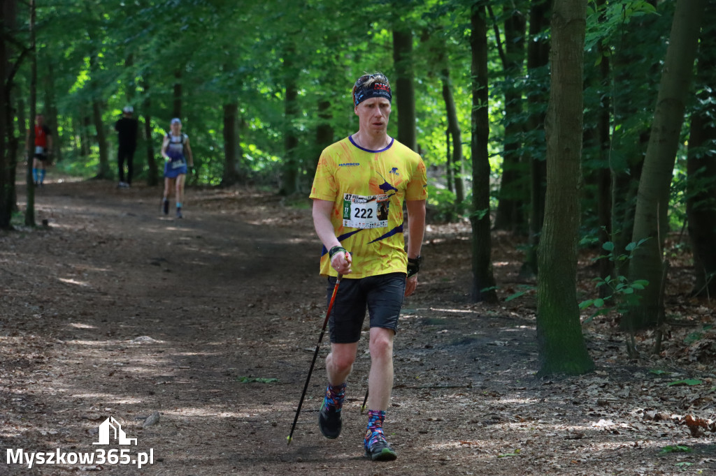 Fotorelacja III: 47. Międzynarodowy Bieg V Stawów w Myszkowie