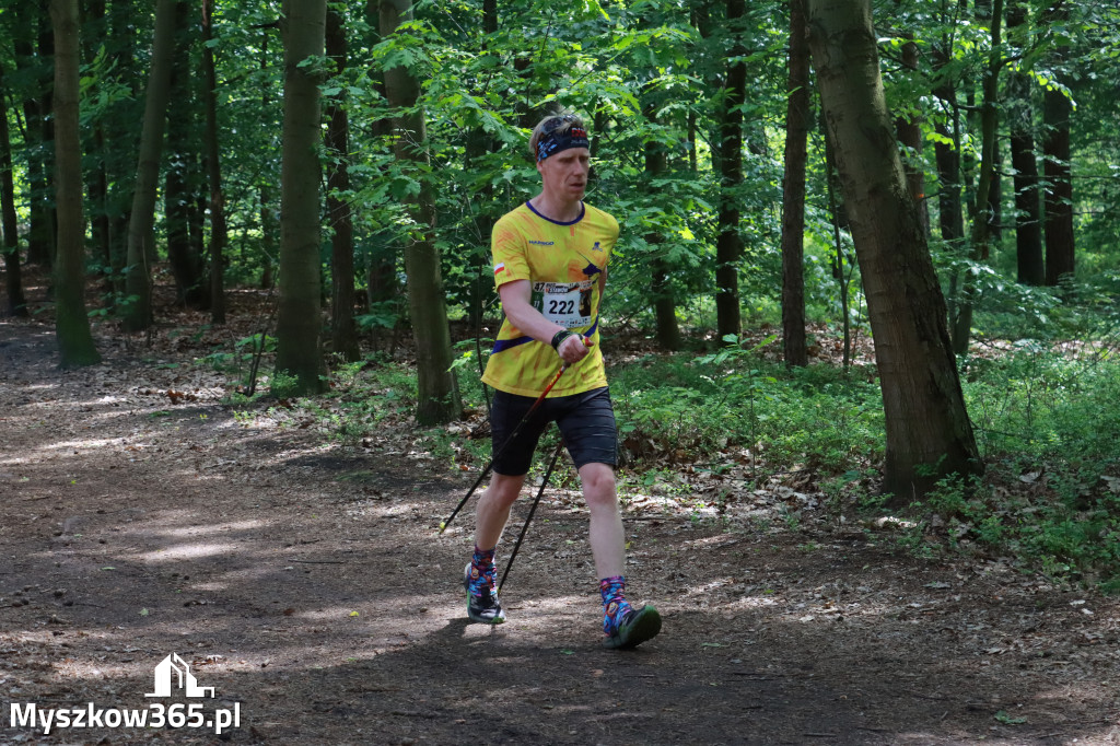 Fotorelacja III: 47. Międzynarodowy Bieg V Stawów w Myszkowie
