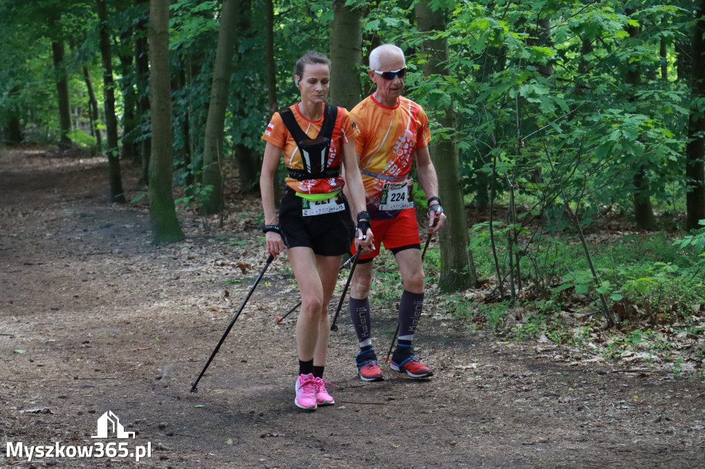 Fotorelacja III: 47. Międzynarodowy Bieg V Stawów w Myszkowie