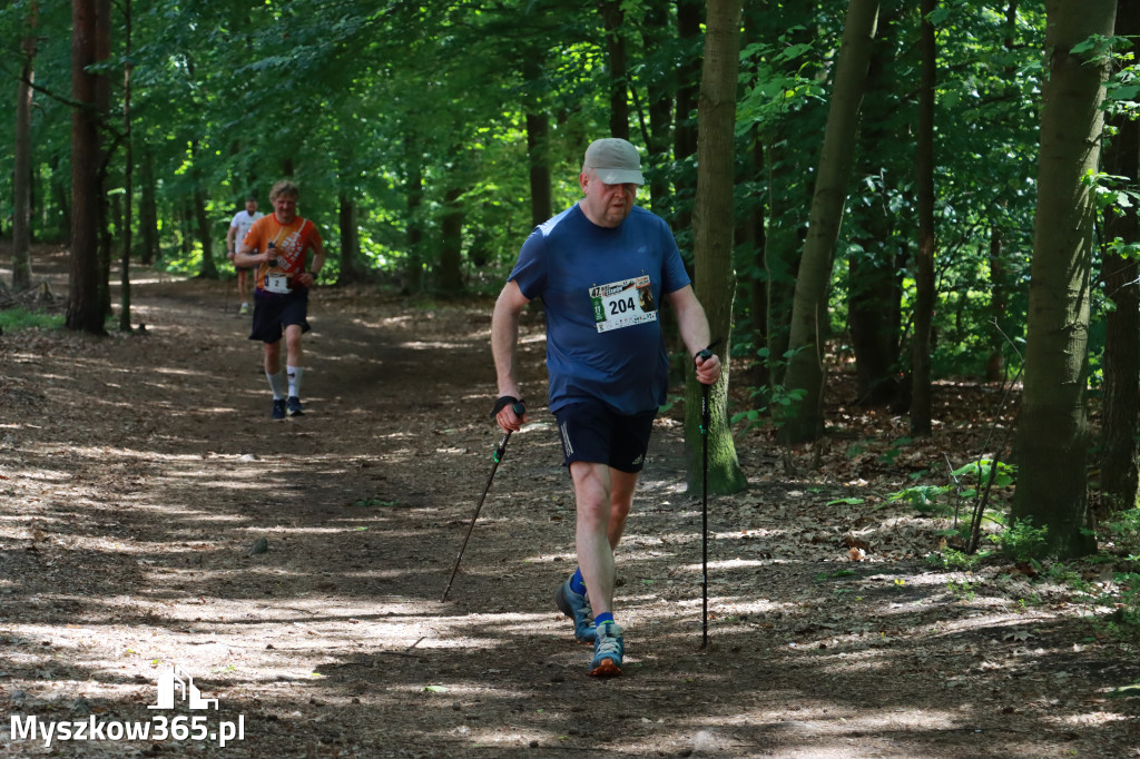 Fotorelacja III: 47. Międzynarodowy Bieg V Stawów w Myszkowie