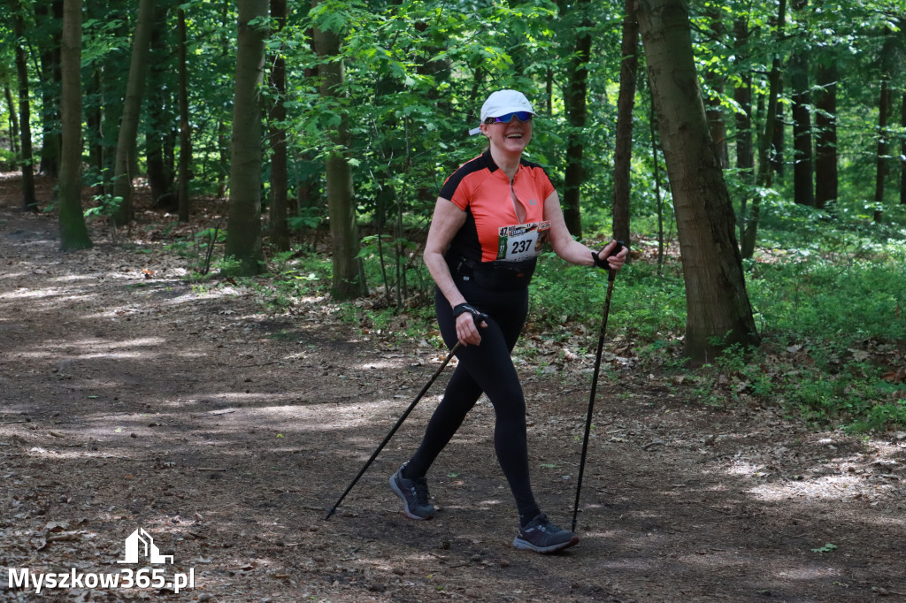 Fotorelacja III: 47. Międzynarodowy Bieg V Stawów w Myszkowie