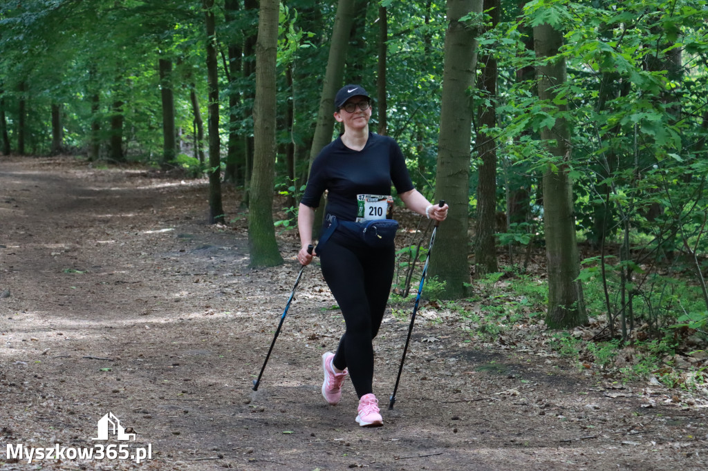 Fotorelacja III: 47. Międzynarodowy Bieg V Stawów w Myszkowie