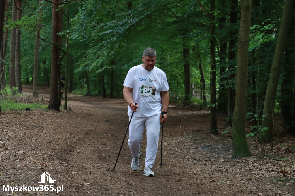 Fotorelacja III: 47. Międzynarodowy Bieg V Stawów w Myszkowie