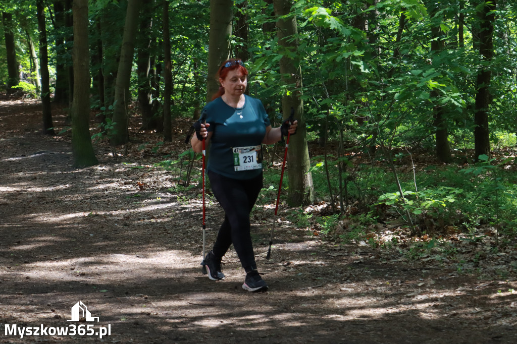Fotorelacja III: 47. Międzynarodowy Bieg V Stawów w Myszkowie