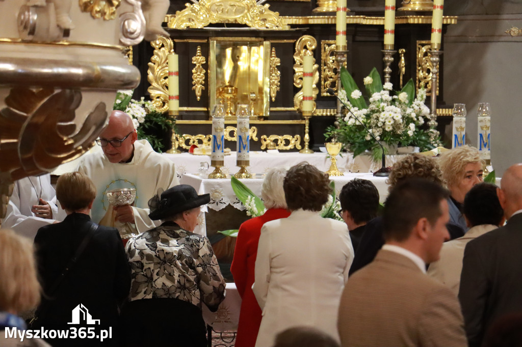 Fotorelacja I: Jubileusz 80-lecia Liceum Ogólnokształcącego w Koziegłowach