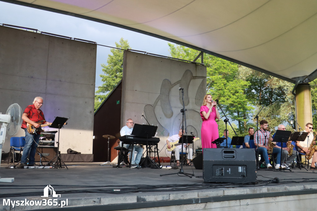Fotorelacja: Muzyczne Wianki – Myszkowska Noc Świętojańska