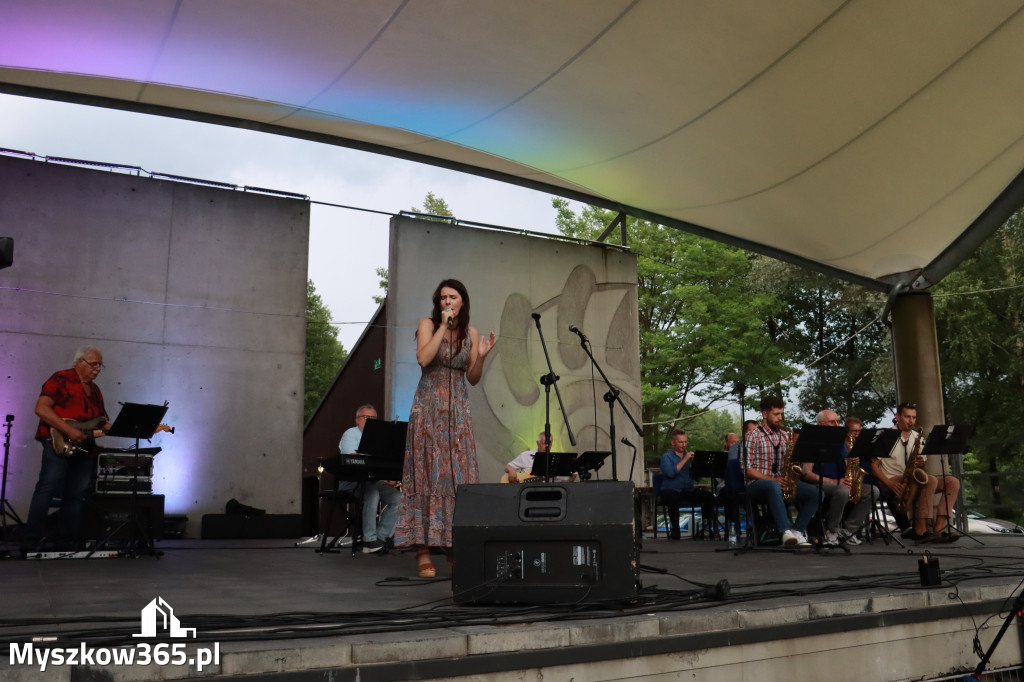 Fotorelacja: Muzyczne Wianki – Myszkowska Noc Świętojańska