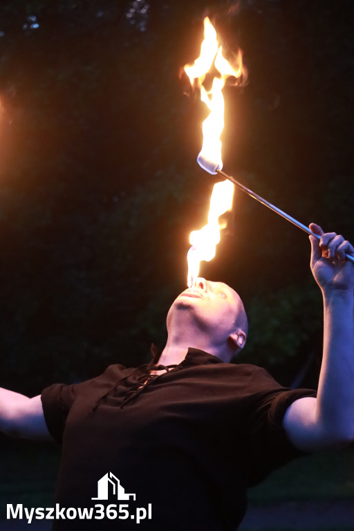 Fotorelacja: Muzyczne Wianki – Myszkowska Noc Świętojańska