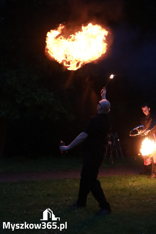 Fotorelacja: Muzyczne Wianki – Myszkowska Noc Świętojańska