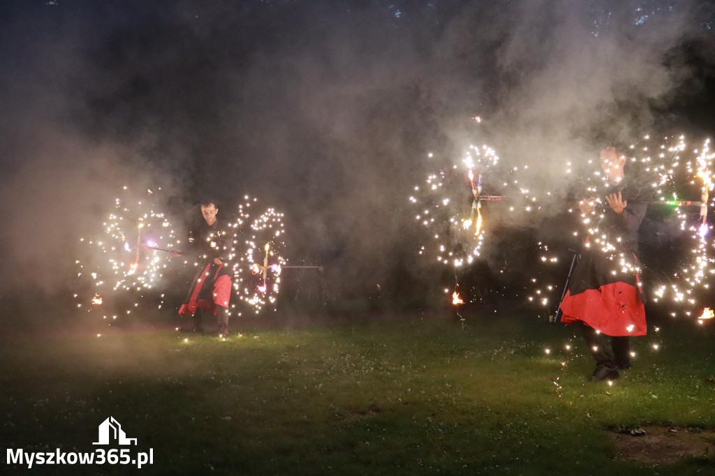 Fotorelacja: Muzyczne Wianki – Myszkowska Noc Świętojańska