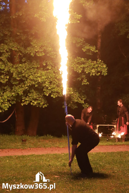 Fotorelacja: Muzyczne Wianki – Myszkowska Noc Świętojańska