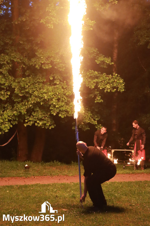 Fotorelacja: Muzyczne Wianki – Myszkowska Noc Świętojańska
