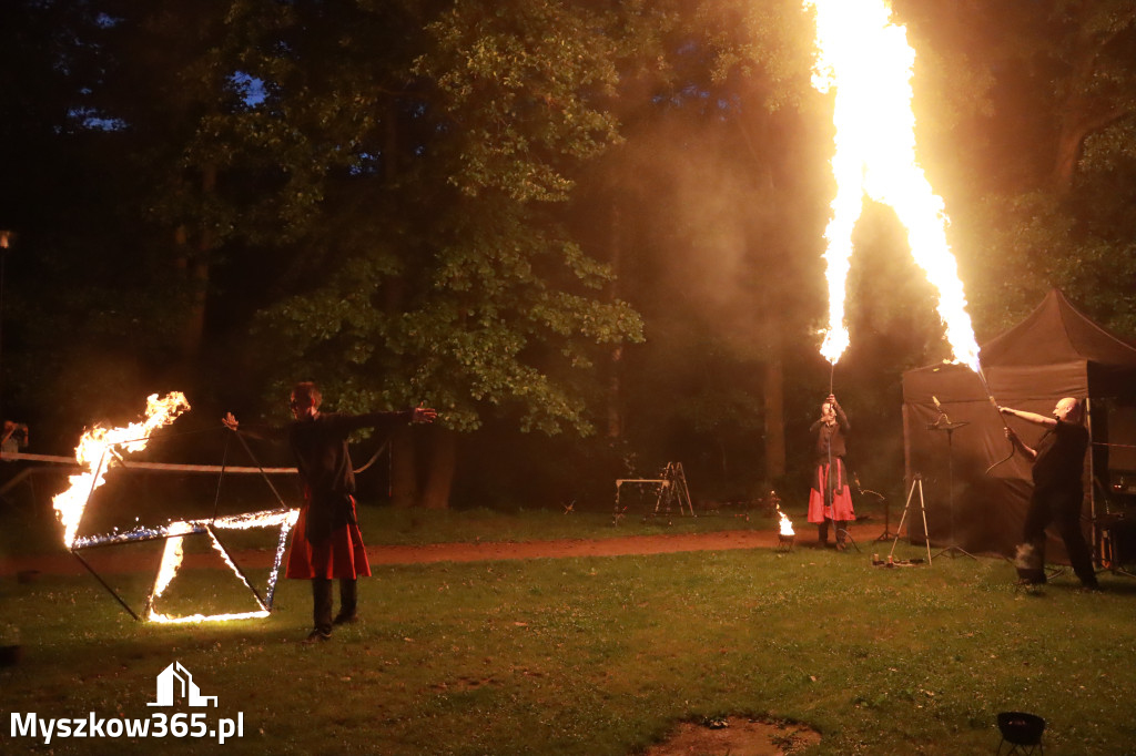 Fotorelacja: Muzyczne Wianki – Myszkowska Noc Świętojańska