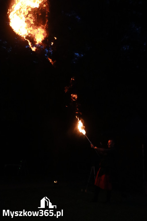 Fotorelacja: Muzyczne Wianki – Myszkowska Noc Świętojańska