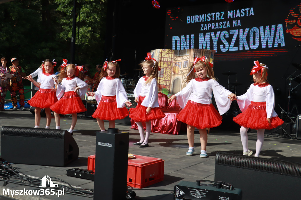 Fotorelacja I: Dni Myszkowa 2026 (sobota)
