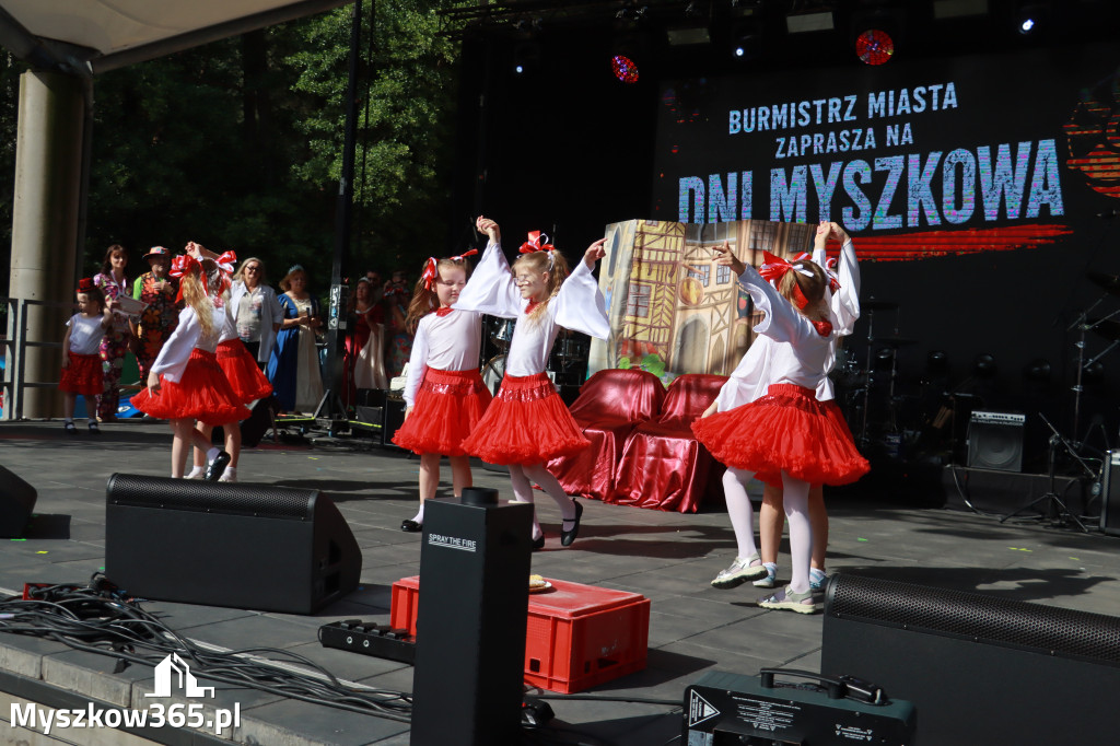 Fotorelacja I: Dni Myszkowa 2026 (sobota)