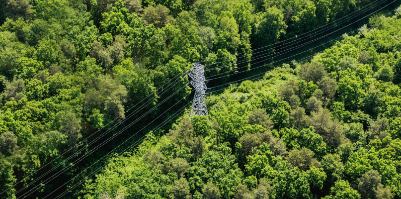 PGE Polska Grupa Energetyczna