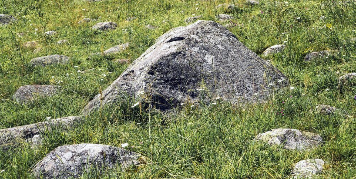 Głazy narzutowe w podaniach i w nauce; co olbrzymy przyniosły nam zza Bałtyku